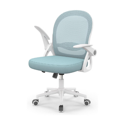 Aeroflux Mesh Office Chair