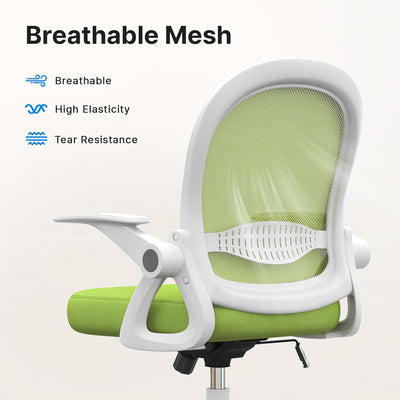 Aeroflux Mesh Office Chair