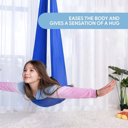 Aeroflux© Sensory Swing