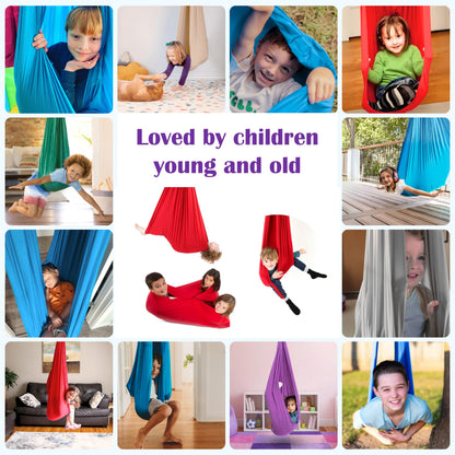 Aeroflux© Sensory Swing